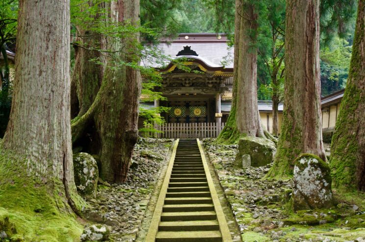 Świątynia Eiheiji Japonia